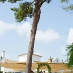 乡村民宿 Cortijo Correa *